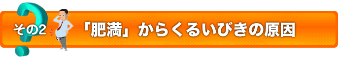 その２　いびき＋「肥満」タイプの原因点