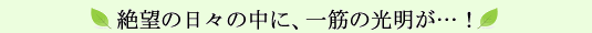 絶望の日々の中に、一筋の光明が…