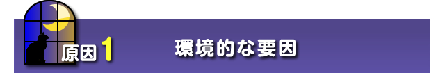 ①環境的な要因