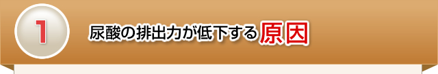 尿酸の排出力が低下する原因