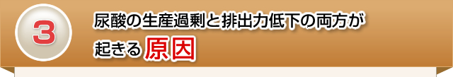 尿酸の生産過剰と排出力低下の両方が起きる原因