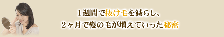 1週間で抜け毛を減らし、2ヶ月で髪の毛が増えていった秘密