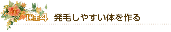 4.発毛しやすい体を作る 