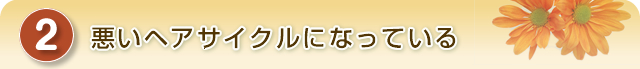 悪いヘアサイクルになっている