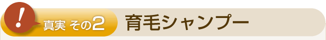 ②育毛シャンプー