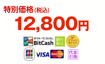 特別限定価格（税込）9,800円