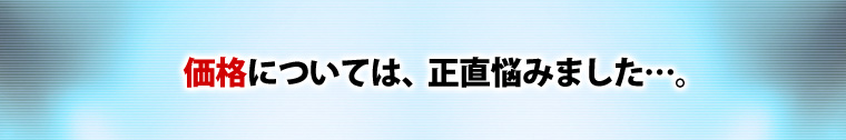 価格については、正直悩みました…。