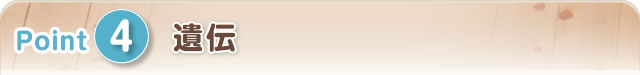 4.遺伝