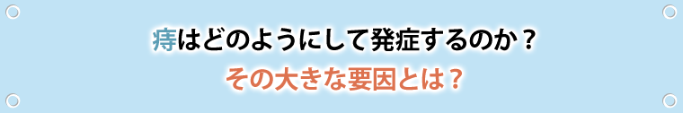 痔はどのようにして発症するのか？　その大きな原因とは