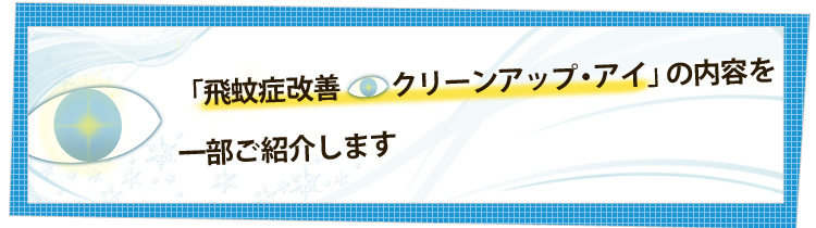 クリーンアップ・アイの内容を少しだけ公開！