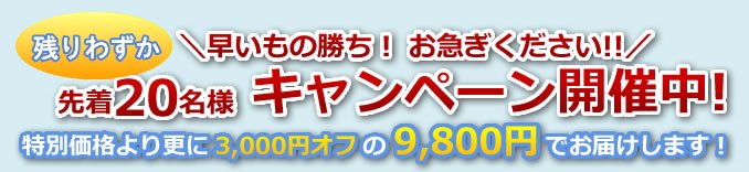 本日限定　＼早いもの勝ち！　お急ぎください!!／