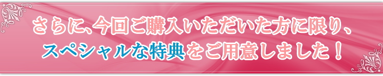今、ご購入いただいた方にスペシャルな特典を無料でプレゼント!