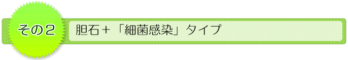 その2 胆石+「細菌感染」