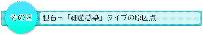 その2 胆石+「細菌感染」の原因点