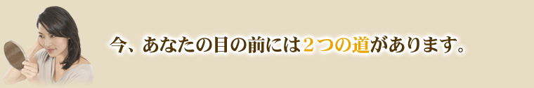 今、あなたの目の前には2つの道があります。