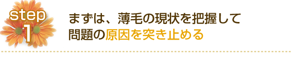ステップ１ まずは、薄毛の現状を把握して、問題の原因を突き止める 