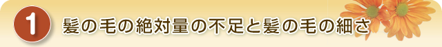 髪の毛の絶対量の不足と髪の毛の細さ